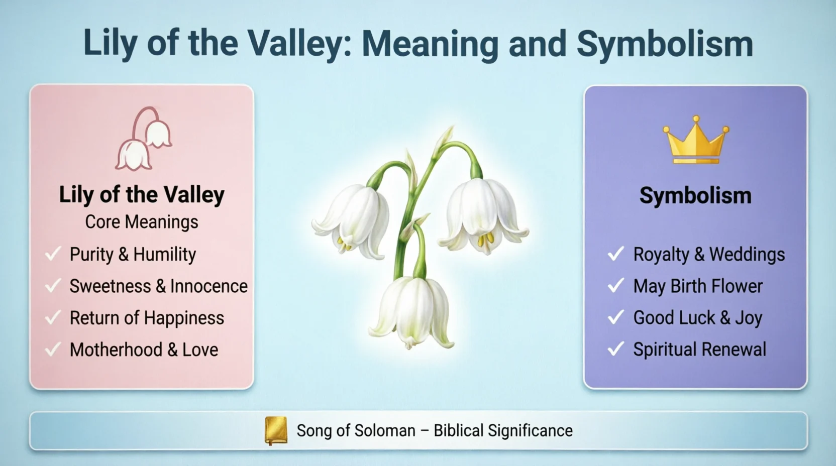 Lily of the Valley Meaning in the Bible 2026